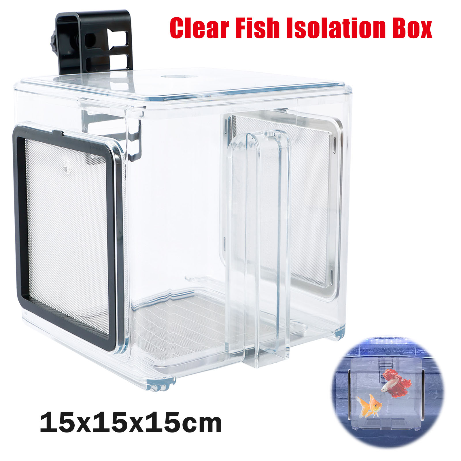 Aquarium Fish In Bowl - Aquarium Züchter Box Fisch Zucht Box