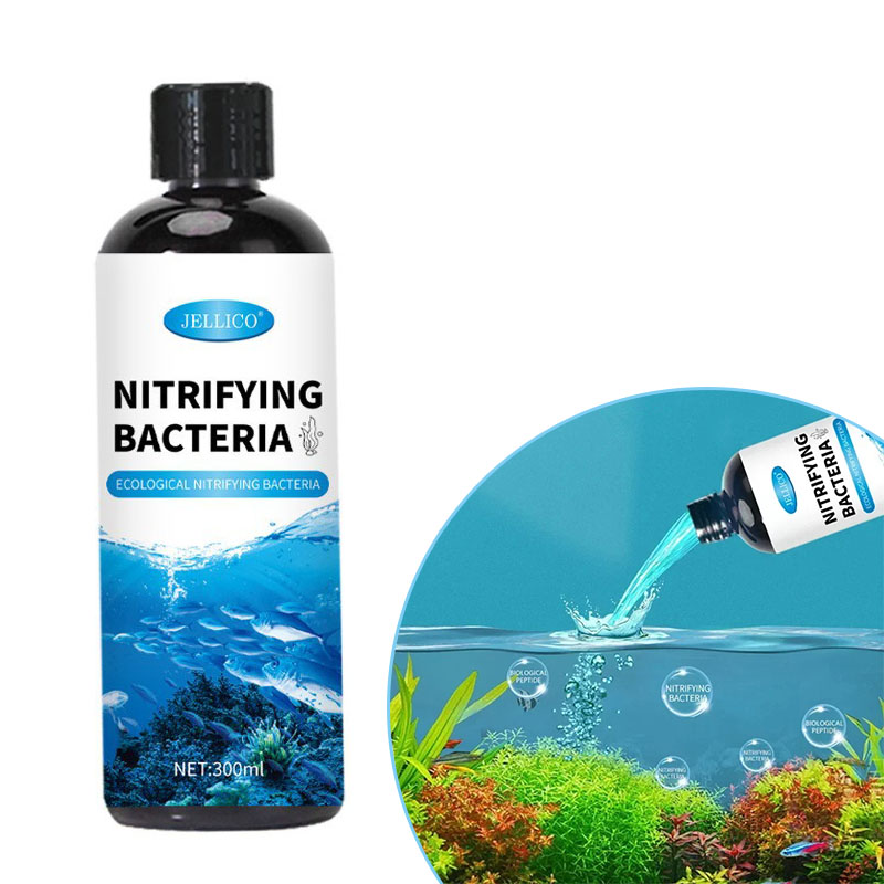Aquarium Fish And Supplies - Nitrifizierende Bakterien Flüssiges Aquarium Wasserreiniger Aquarium
