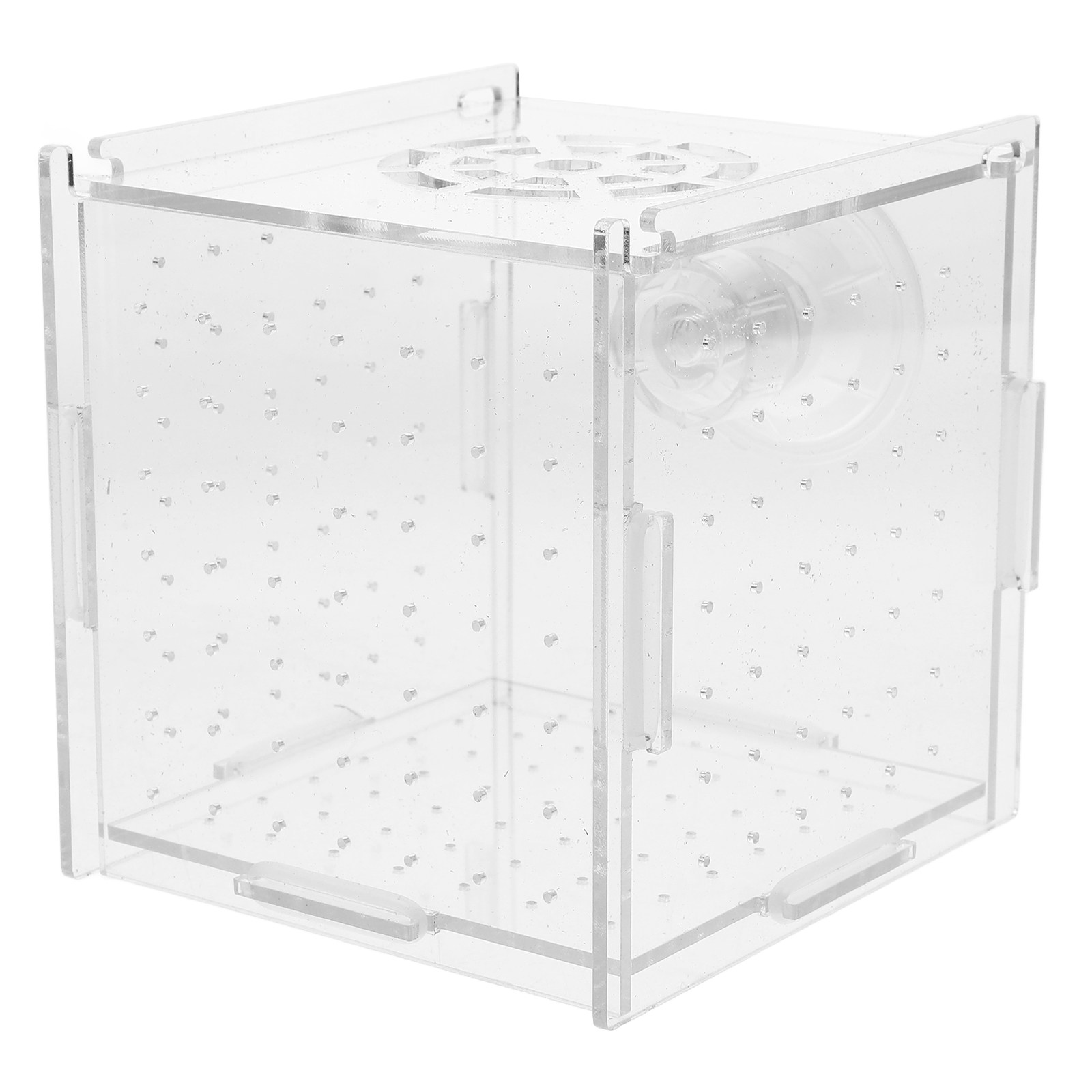 Fish Toy In Aquarium - Fischzucht-Isolationsbox aus klarem Acryl, Aquarium-Brutkasten für