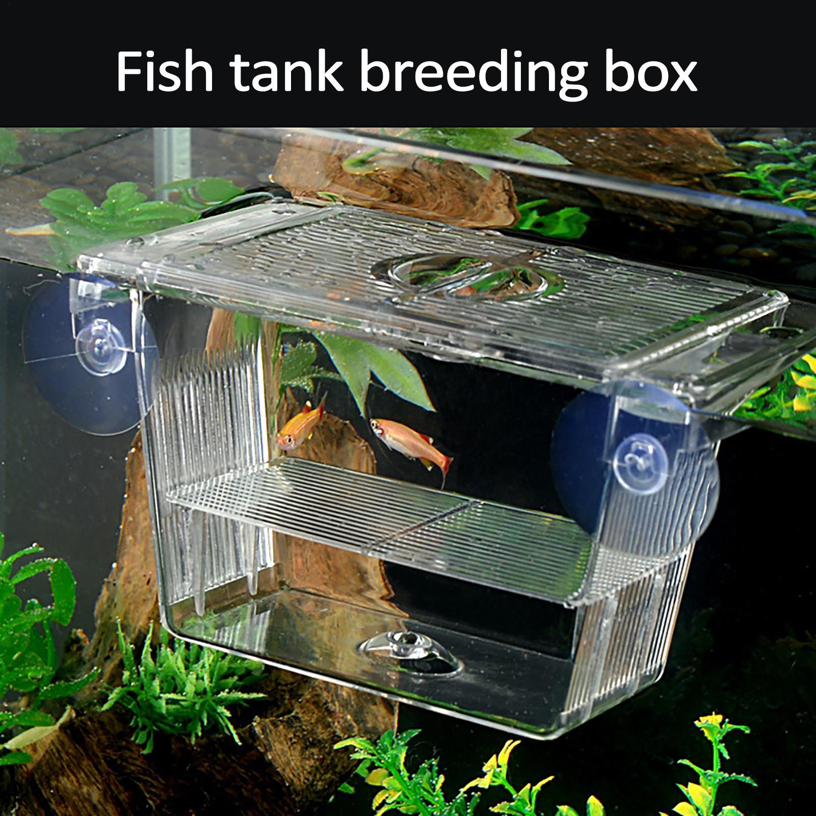 Aquarium Fish In Bowl - Zuchtbox für Aquarien Transparente Fisch-Isolationsbox für