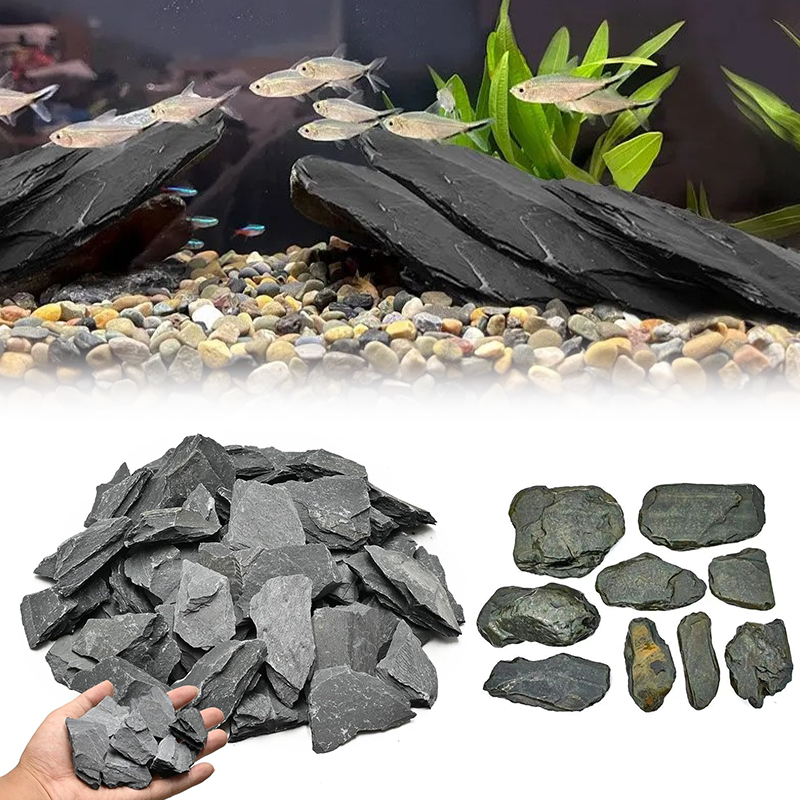 500/1000g Aquarium-Landschafts – Aquarium Fish Only Bewertung und Preis