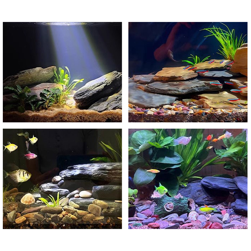 500/1000g Aquarium-Landschafts – Aquarium Fish Only Bewertung und Preis
