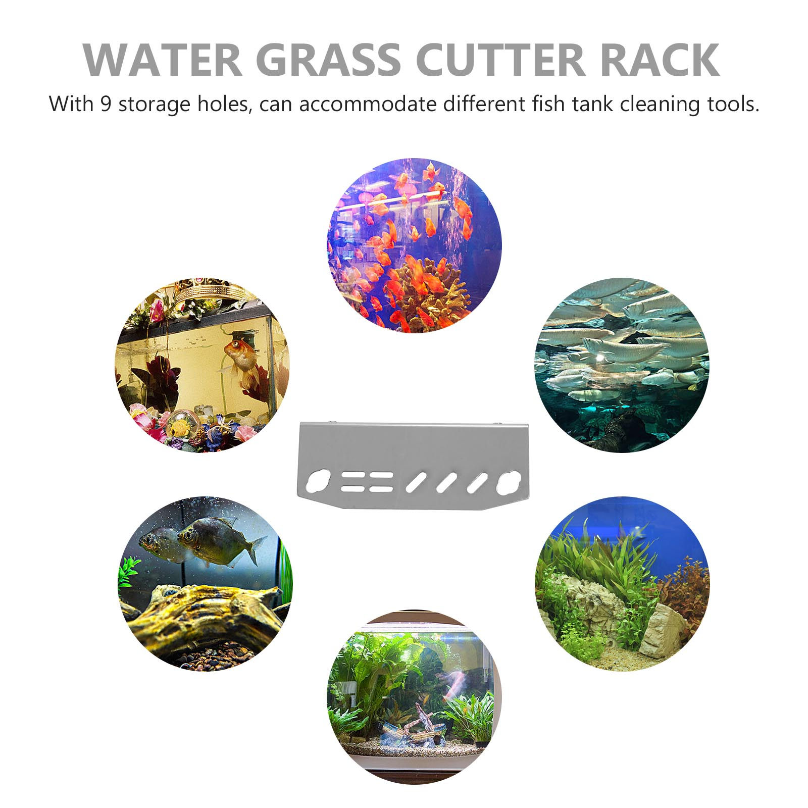 1 Stück Kompakter Tragbarer Aq – Aquarium Fish And Supplies Bewertung und Preis