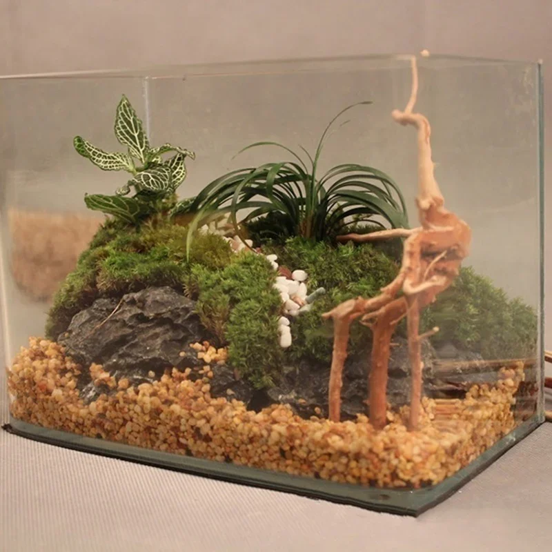 Natürlicher Baumstamm Treibhol – Aquarium Fish Only Bewertung und Preis
