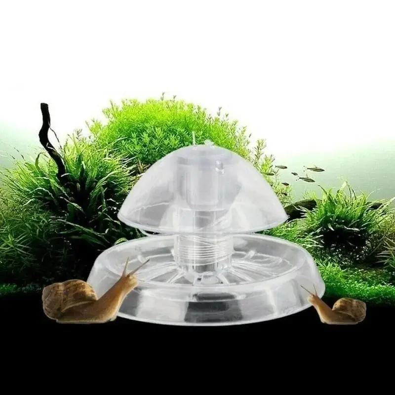 2026 Neu 6/8CM Klare Plastik-S – Aquarium Fish And Supplies Bewertung und Preis