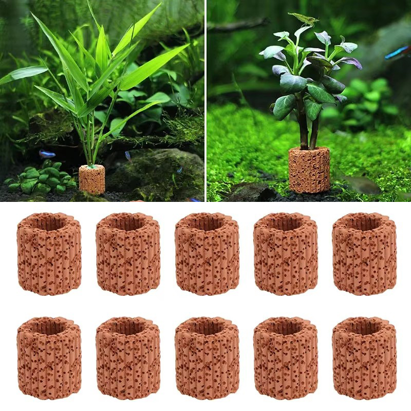 Fester Ring für Wasserpflanzen – Aquarium Fish Hiding Places Bewertung und Preis