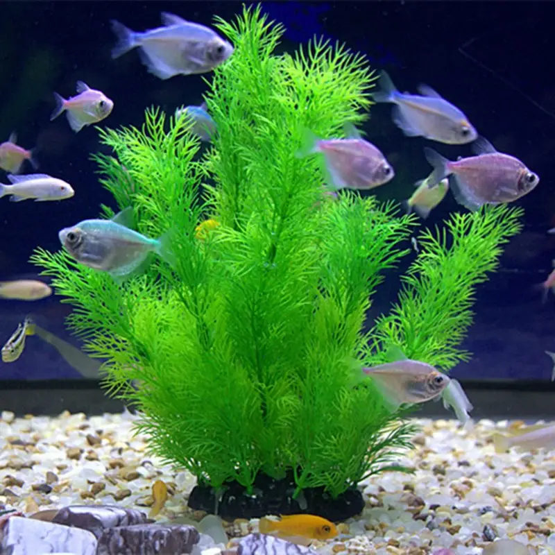 Künstliche Aquarium Dekor Pfla – Aquarium Fish Only Bewertung und Preis
