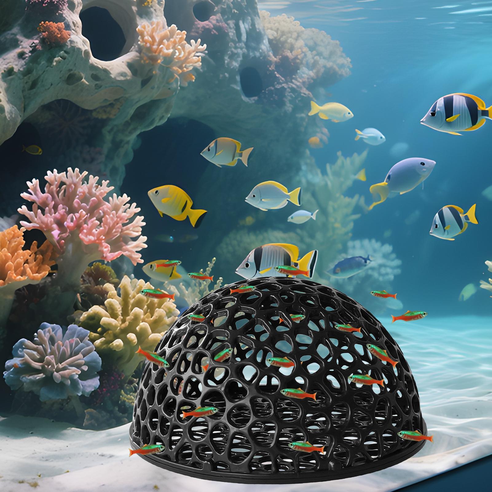 Aquarium-Hiden-Höhlenunterstan – Aquarium Fish Hiding Places Bewertung und Preis