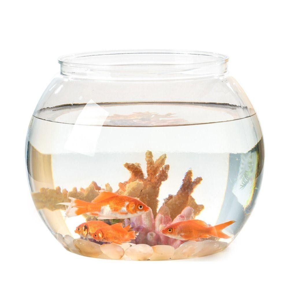 Tragbares Transparentes Aquari – Aquarium Fish In Bowl Bewertung und Preis