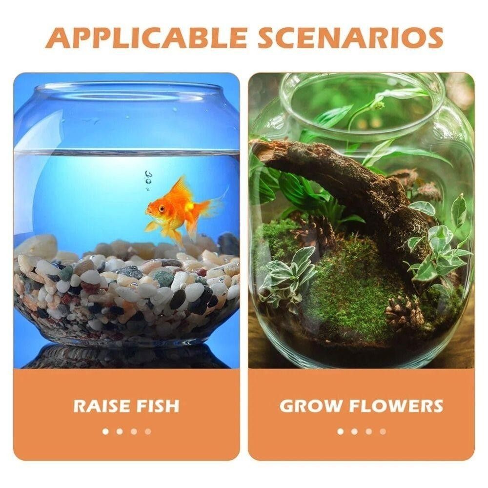 Tragbares Transparentes Aquari – Aquarium Fish In Bowl Bewertung und Preis