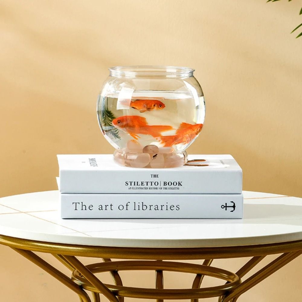 Tragbares Transparentes Aquari – Aquarium Fish In Bowl Bewertung und Preis
