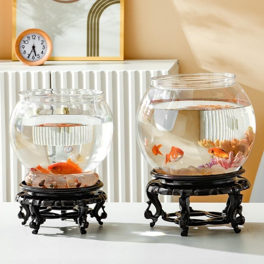 Tragbares Transparentes Aquari – Aquarium Fish In Bowl Bewertung und Preis