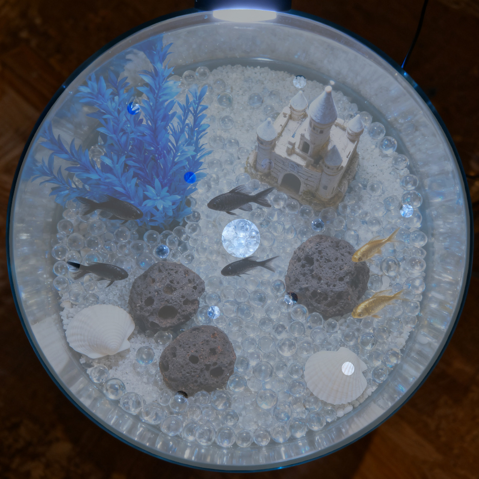 Acryl-Rundabdeckung für Fischb – Aquarium Fish In Bowl Bewertung und Preis