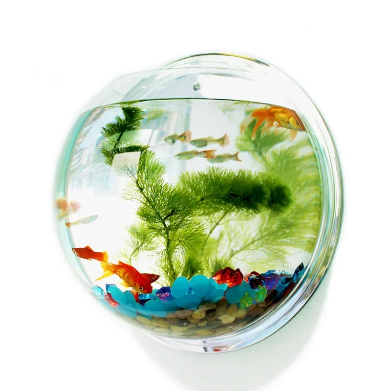 Pinsjar Acryl Fischschale Wand – Aquarium Fish In Bowl Bewertung und Preis