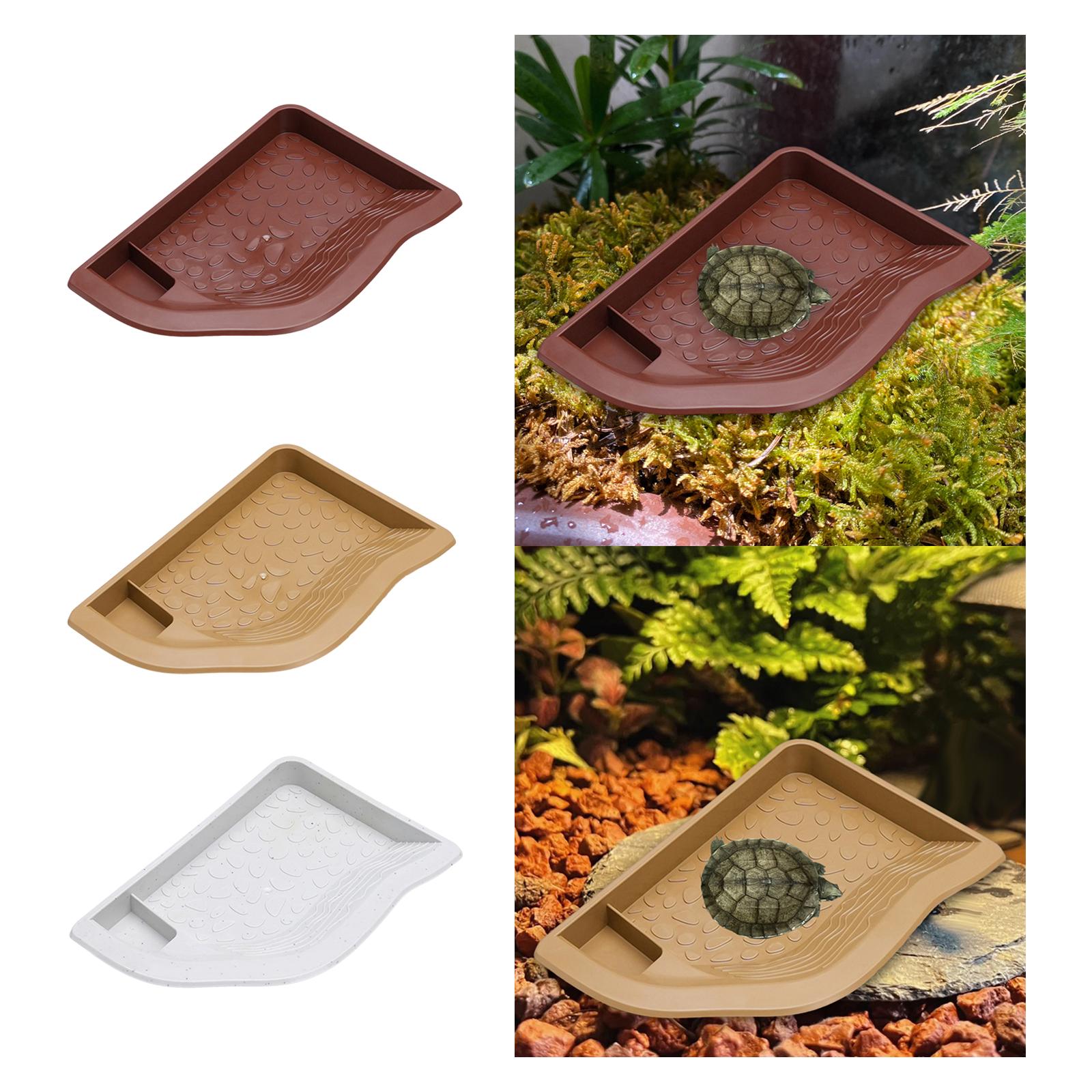 Reptilien-Poolwasserschale, Sc – Aquarium Fish In Bowl Bewertung und Preis