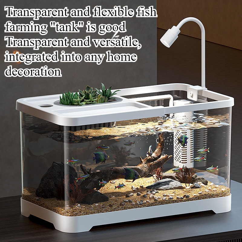 Fischbecken Haushalt-Aquarium  – Aquarium Fish In Bowl Bewertung und Preis