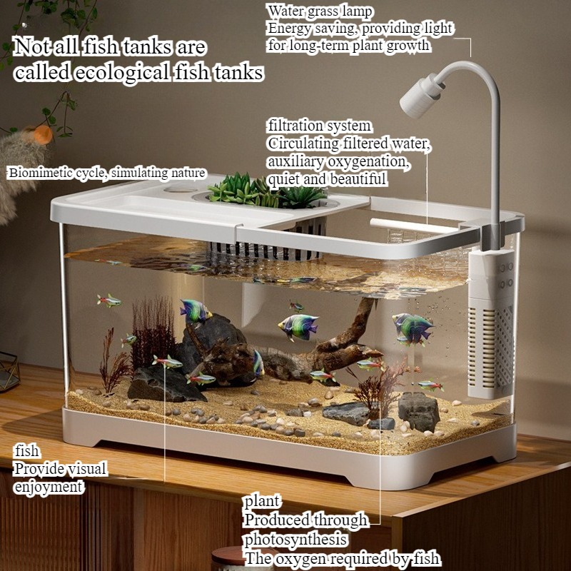 Fischbecken Haushalt-Aquarium  – Aquarium Fish In Bowl Bewertung und Preis