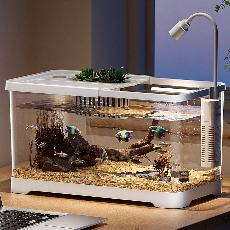 Fischbecken Haushalt-Aquarium  – Aquarium Fish In Bowl Bewertung und Preis