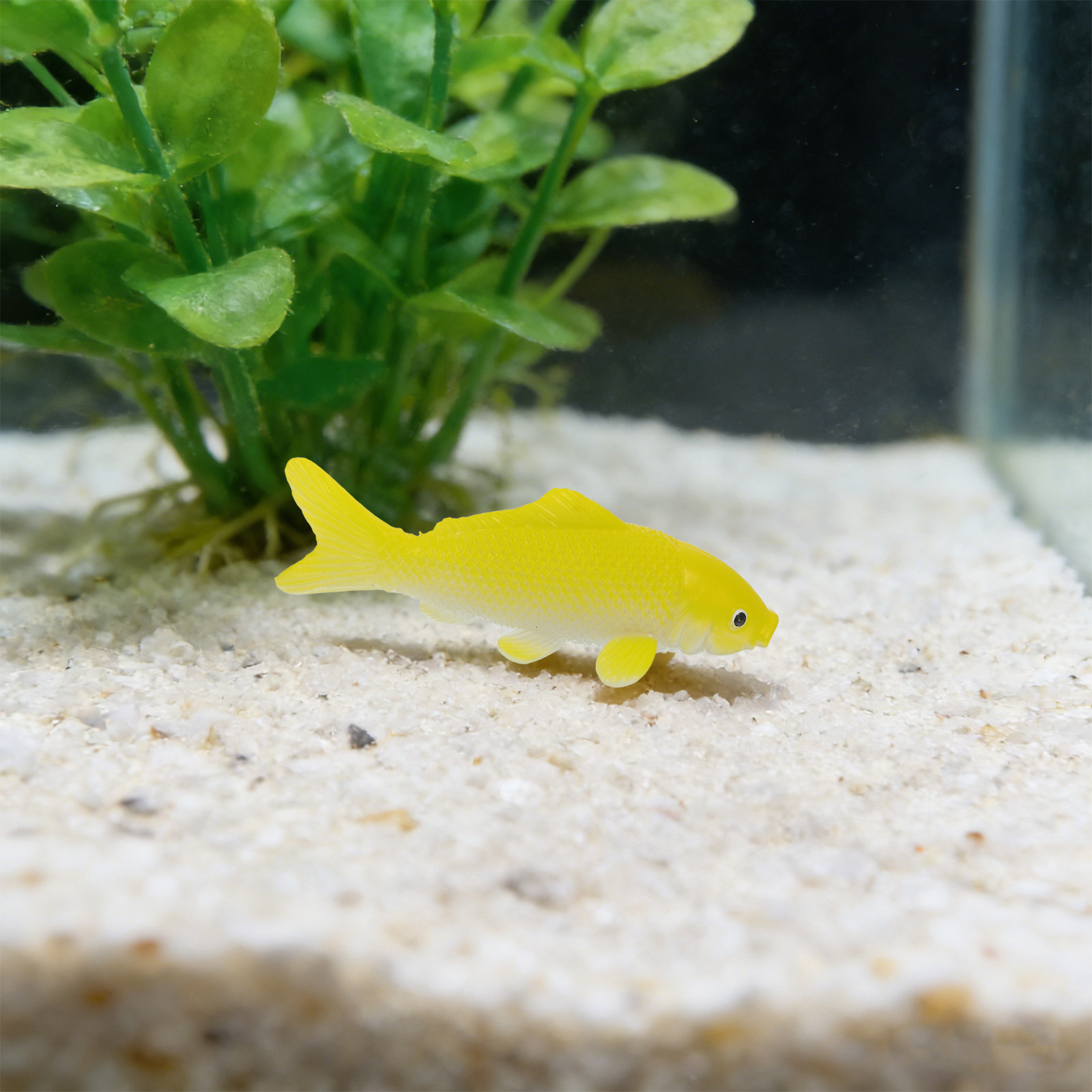 3-teiliges Fisch-Kunsthandwerk – Fish Toy In Aquarium Bewertung und Preis