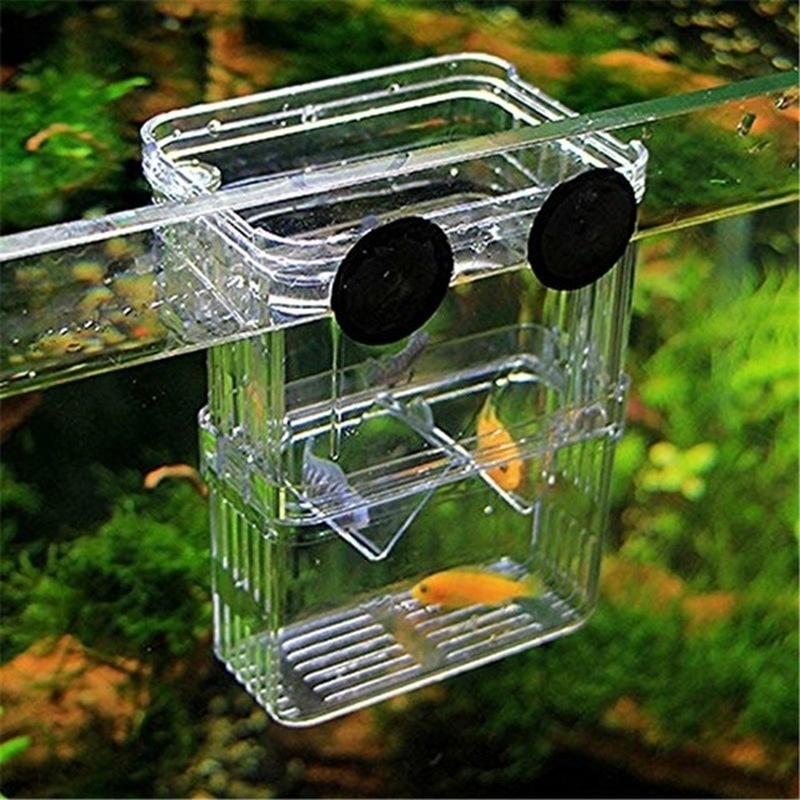 Multifunktionale Fisch Aquariu – Aquarium Fish In Bowl Bewertung und Preis