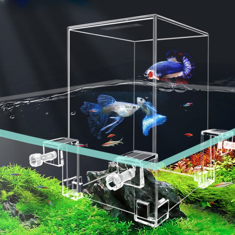 Kreative Aquarien Tanks Unterd – Aquarium Fish In Bowl Bewertung und Preis