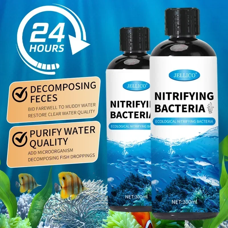 Nitrifizierende Bakterien Flüs – Aquarium Fish And Supplies Bewertung und Preis