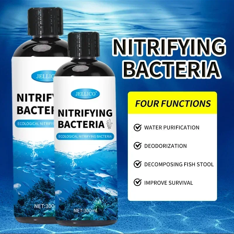 Nitrifizierende Bakterien Flüs – Aquarium Fish And Supplies Bewertung und Preis