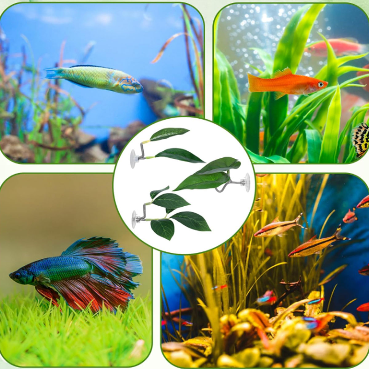 1 Stück Betta-Fisch-Hängematte – Aquarium Fish Only Bewertung und Preis