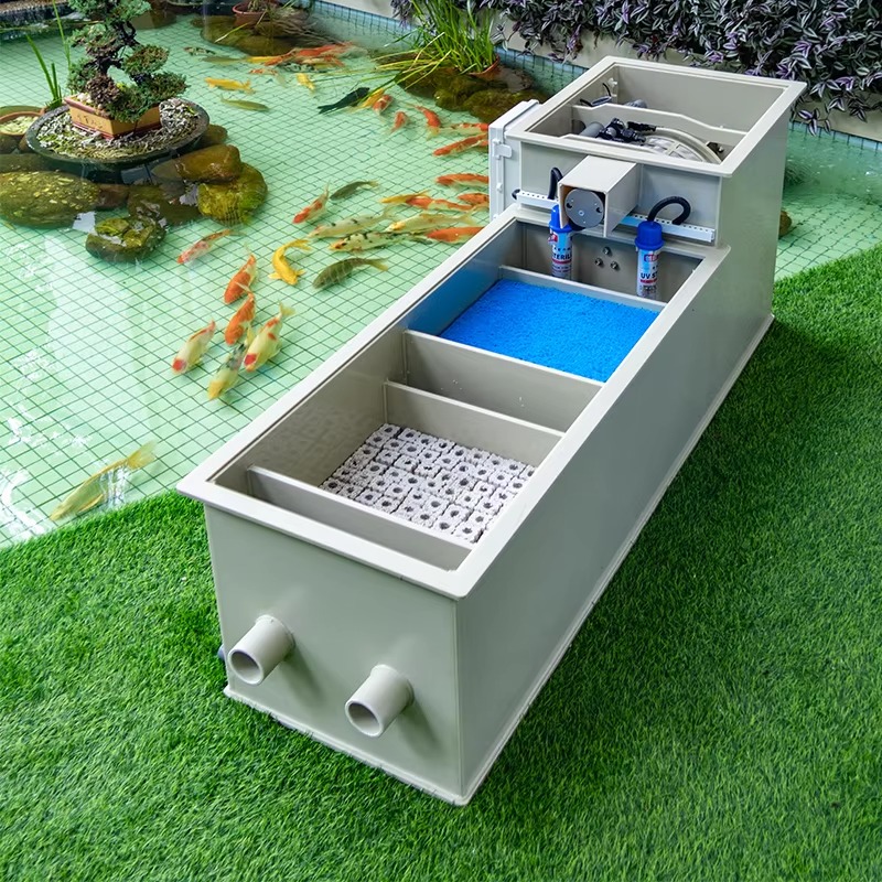 Qlozone Haushaltsgarten-Fischt – Aquarium Fish Japanese Bewertung und Preis