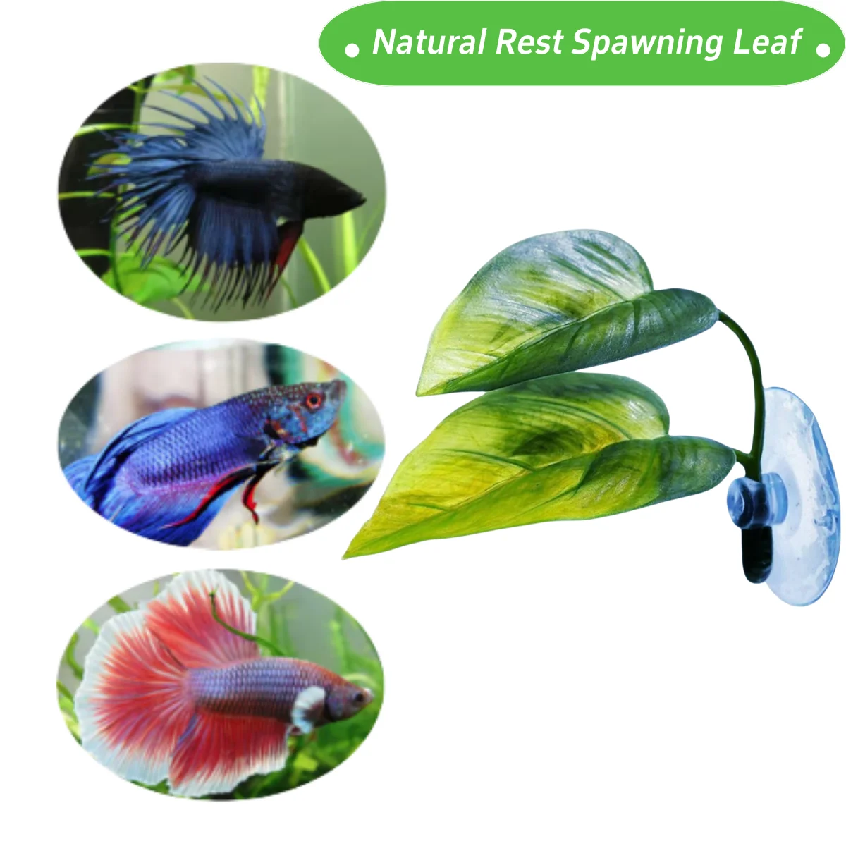 Haustiere Aquarium Dekor Betta – Aquarium Fish Hiding Places Bewertung und Preis