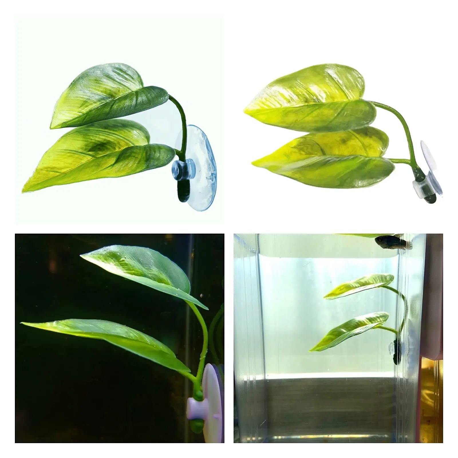 Haustiere Aquarium Dekor Betta – Aquarium Fish Hiding Places Bewertung und Preis