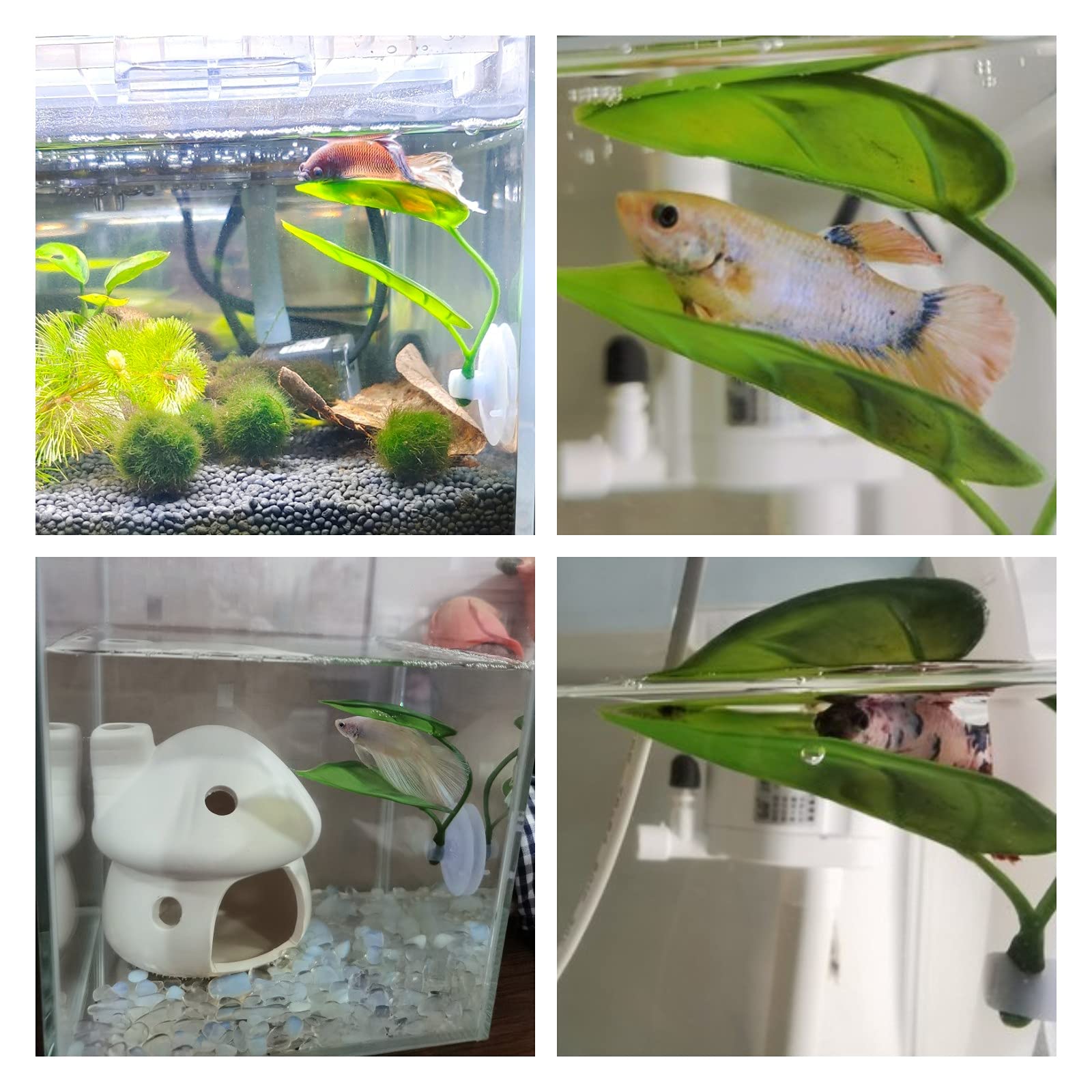 Haustiere Aquarium Dekor Betta – Aquarium Fish Hiding Places Bewertung und Preis