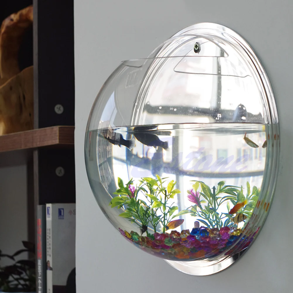 Topf Wandbehang Halterung Blas – Aquarium Fish In Bowl Bewertung und Preis