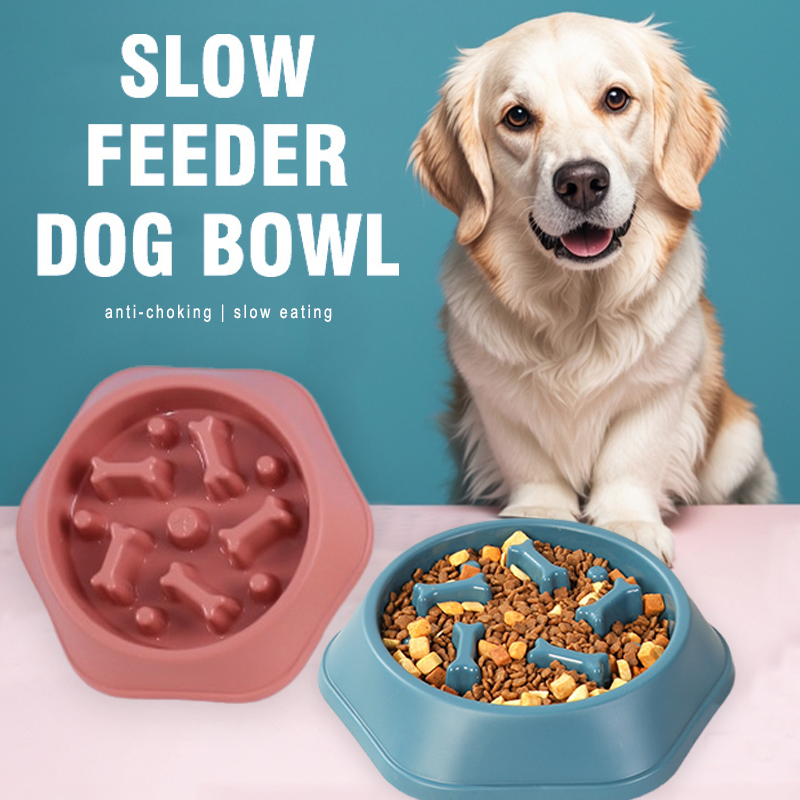 Slow Feeder Hundenapf, Anti-Er – Royal Canin Food Medium Bewertung und Preis