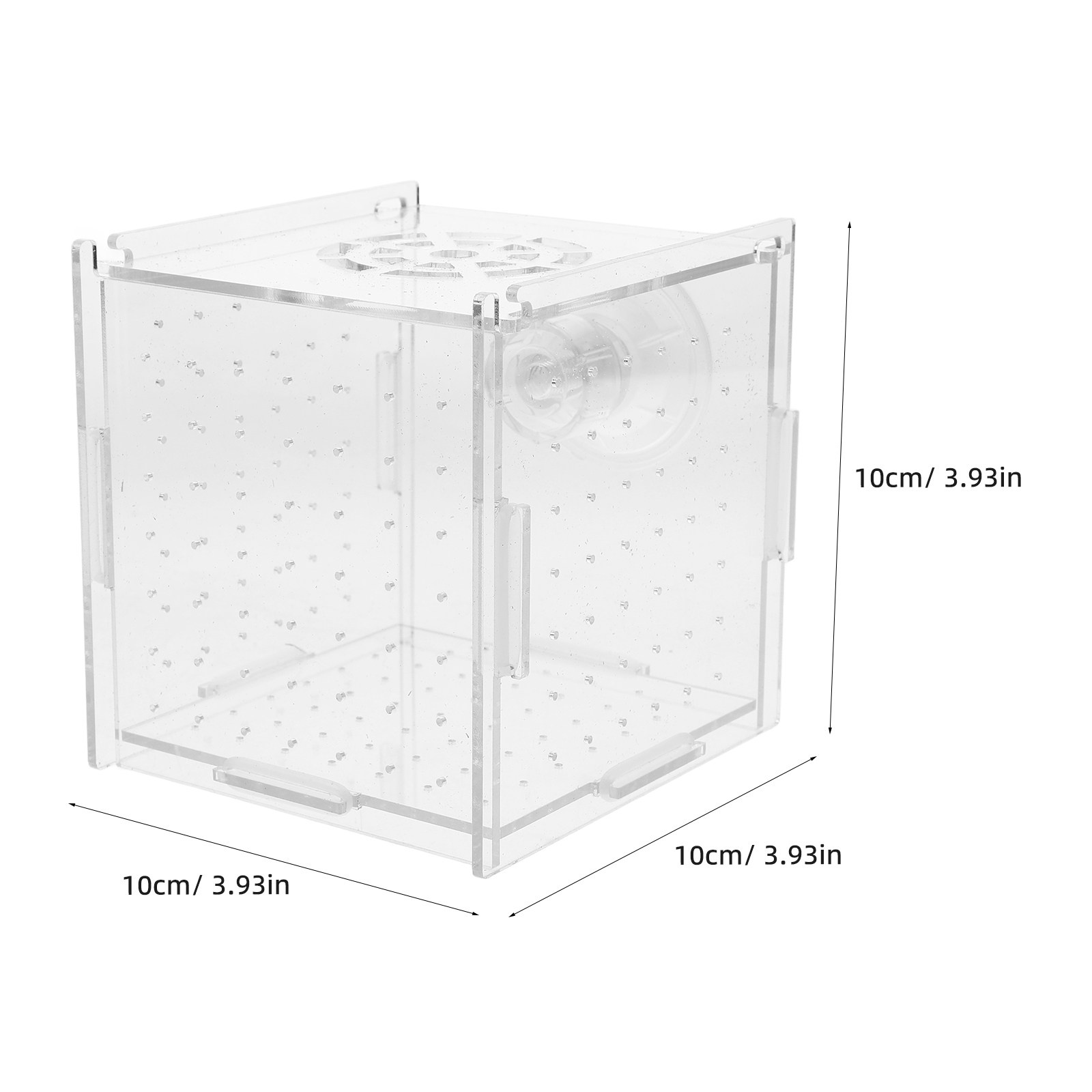 Fischzucht-Isolationsbox aus k – Fish Toy In Aquarium Bewertung und Preis