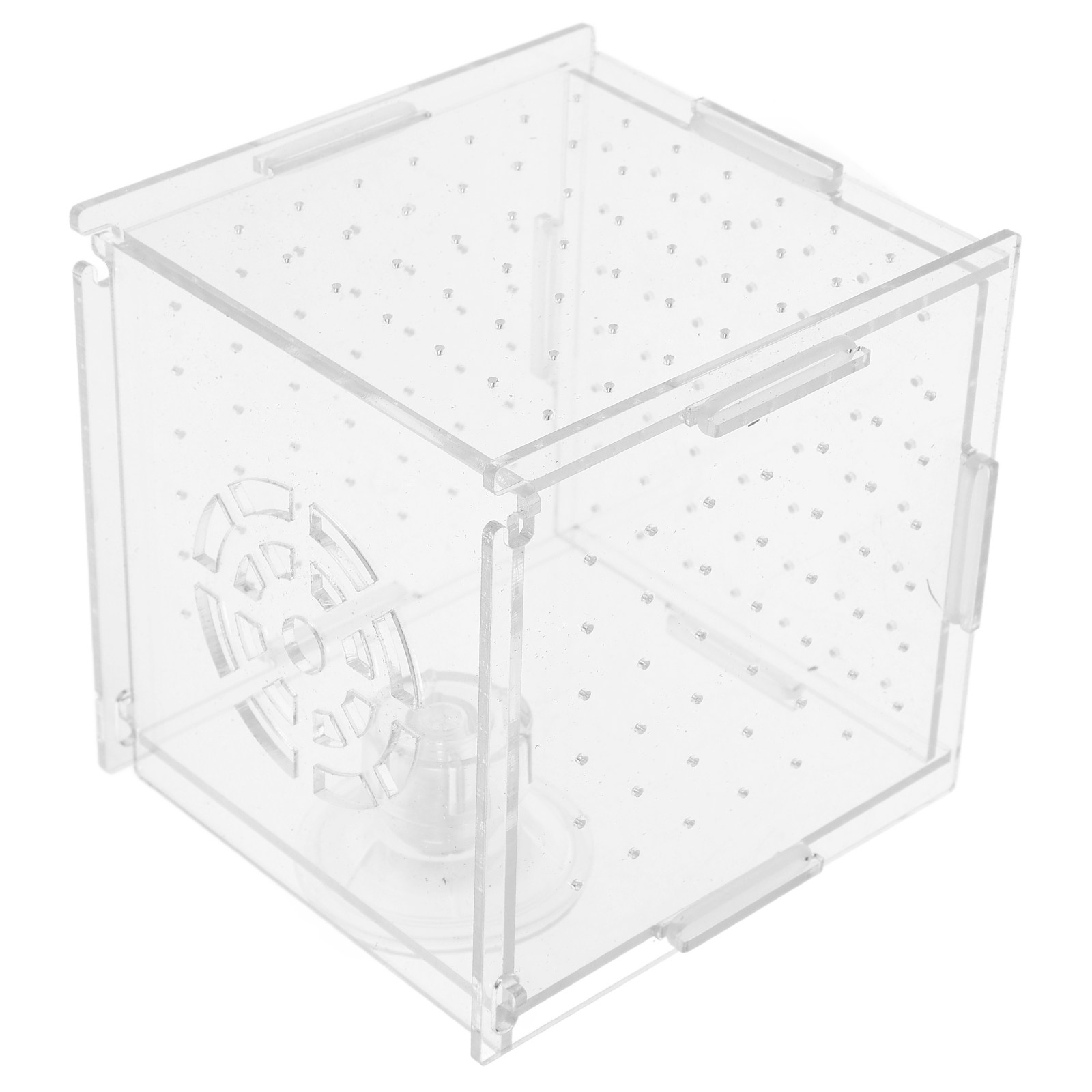 Fischzucht-Isolationsbox aus k – Fish Toy In Aquarium Bewertung und Preis