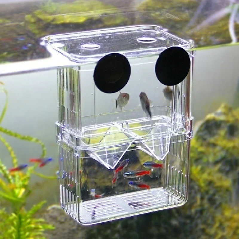 Multifunktionales Fischaquariu – Aquarium Fish In Bowl Bewertung und Preis