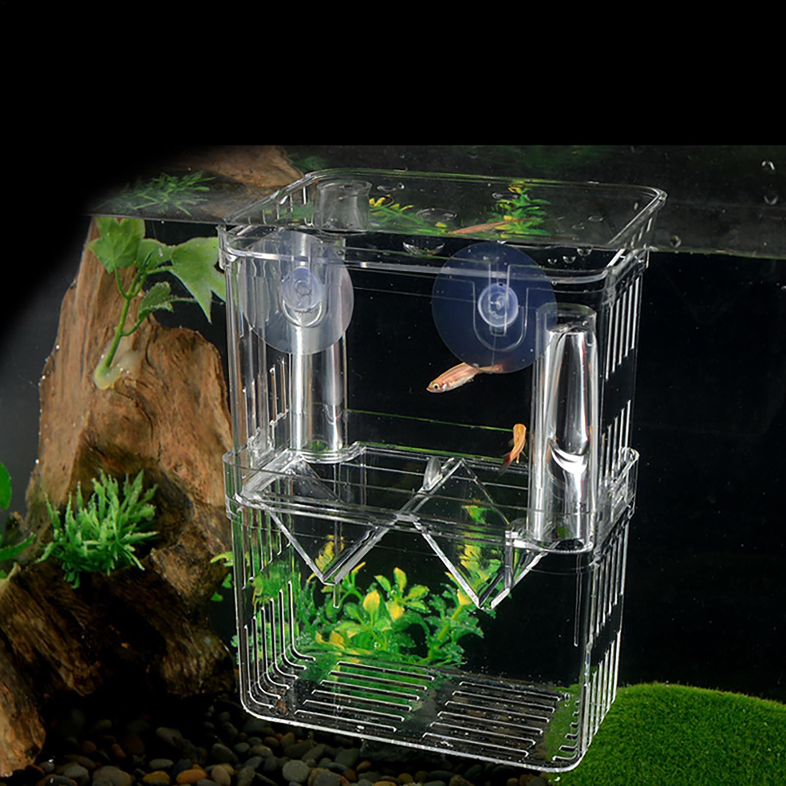 Zuchtbox für Aquarien Transpar – Aquarium Fish In Bowl Bewertung und Preis