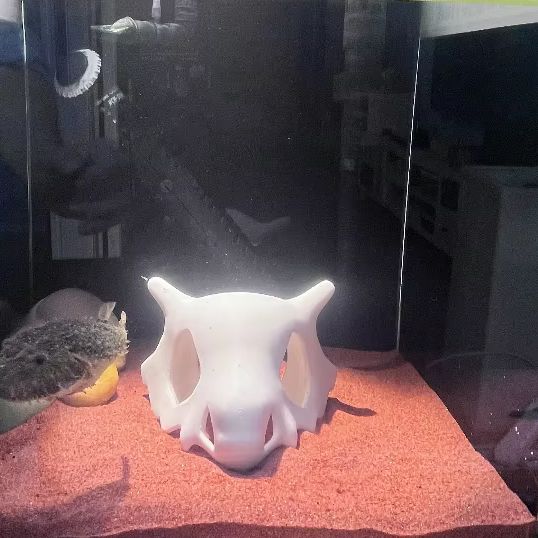 3D-gedruckter Fisch, Garnelen, – Aquarium Fish Hiding Places Bewertung und Preis