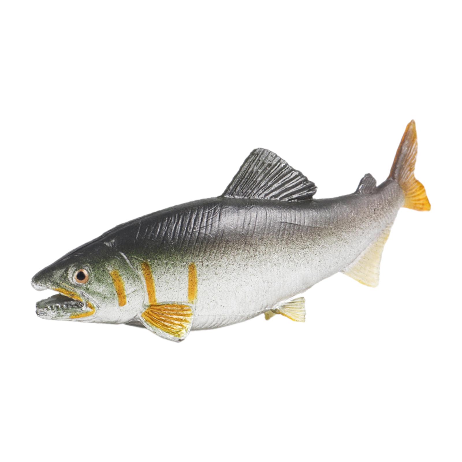 3x Fischspielzeug, Aquarium-De – Fish Toy In Aquarium Bewertung und Preis