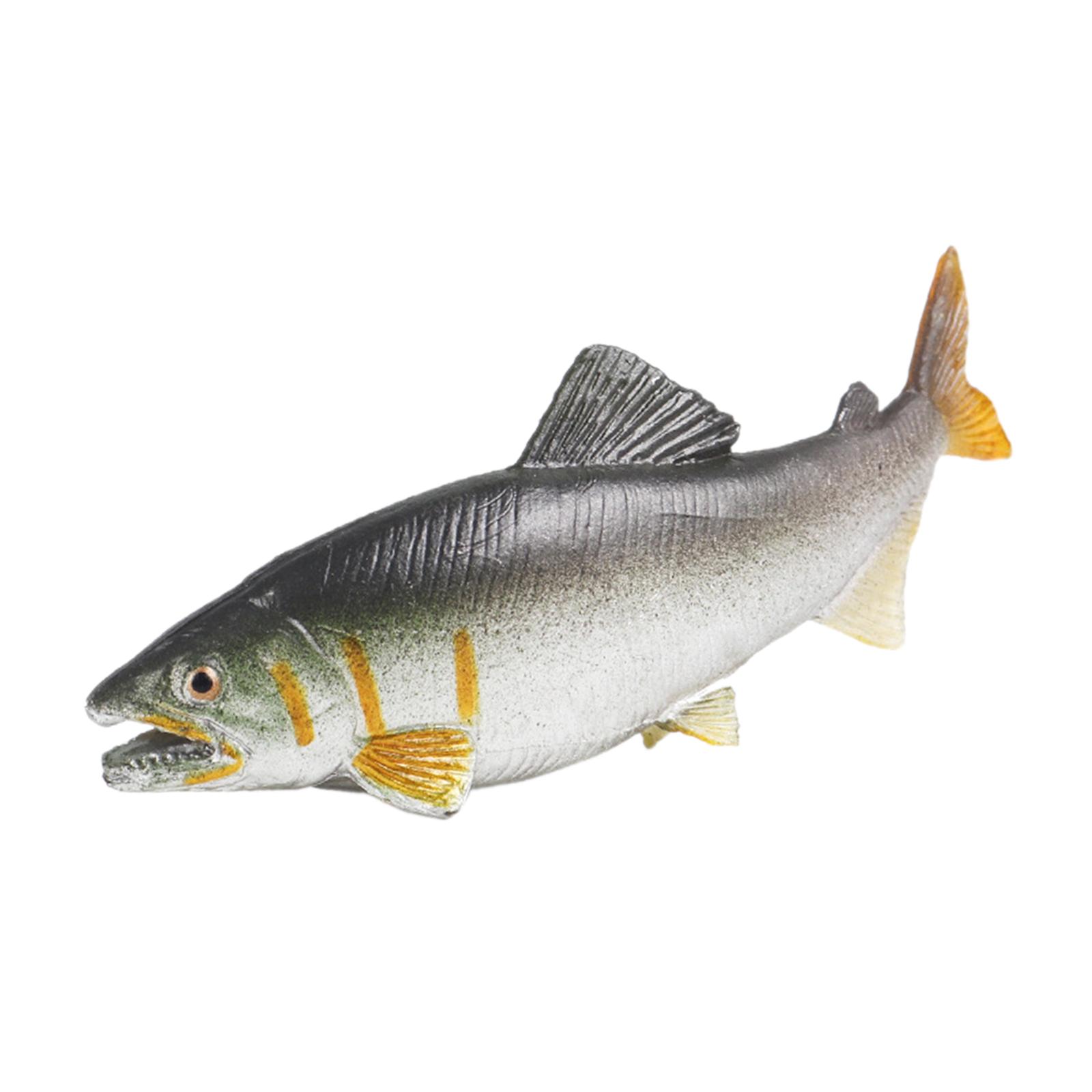 3x Fischspielzeug, Aquarium-De – Fish Toy In Aquarium Bewertung und Preis